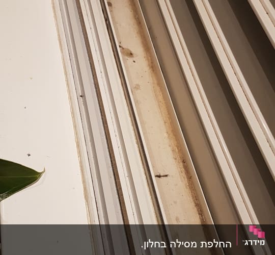 תריסים לבנים עם מסילות מלוכלכות